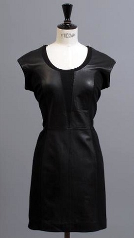 Rag and Bone Dress