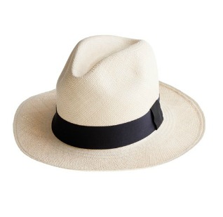 1. J.Crew Panama Hat