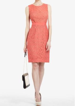 BCBG Sheath Dress