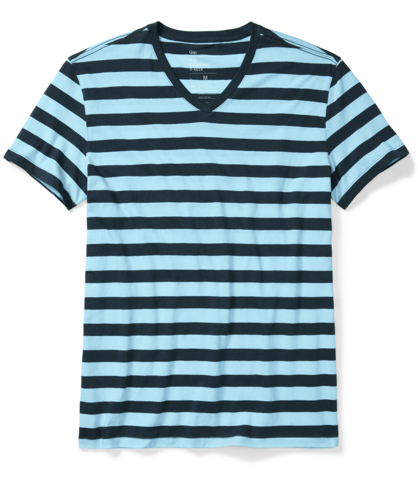 Gap-19.95MensTheessentialstripedV-NeckTee