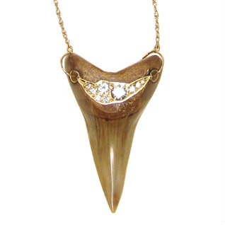Gold_Shark_Tooth1__73474_zoom-1_2