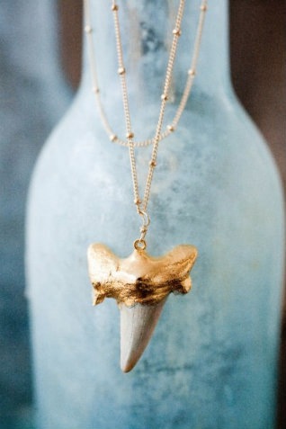 Sharkstoothnecklace2_2