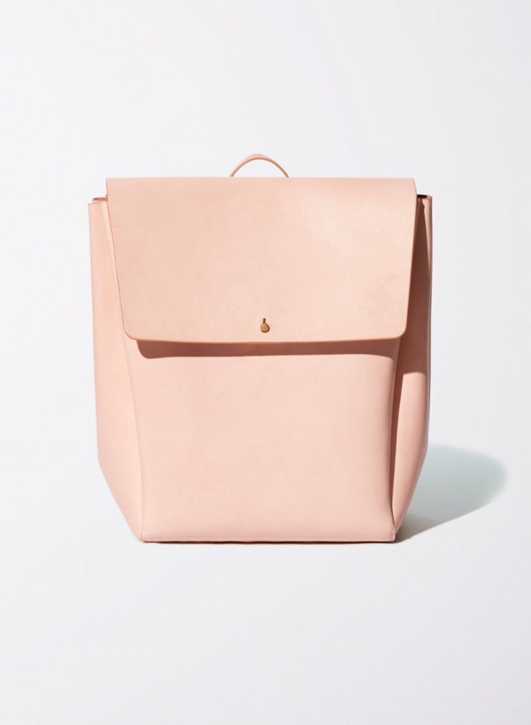 Aritzia Backpack