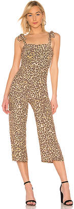 8b8f5ba02fc07f2b97bf4a2a2f8dfea2_xlarge